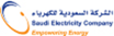 SEC(Saudi Electricity Company)
